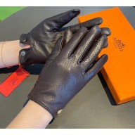 Hermes Gloves H06 2022