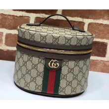 Gucci Web Ophidia GG Cosmetic Case Bag 611001 2020