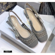 Dior Heel 1.5cm Moi Slingback Ballerina Flats Cannage Embroidered Mesh Gray 2020
