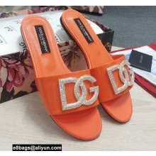 Dolce & Gabbana Calfskin Sliders Orange with DG Logo 2022