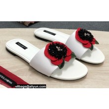 Dolce & Gabbana Black Red Roses Slides White 2022
