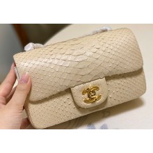 Chanel Classic Flap Small Bag 1116 In Python 10 2023