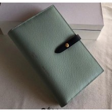 Celine Bicolour Large Strap Multifunction Wallet Pale Green/Navy Blue