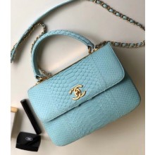 Chanel Python Trendy CC Small Flap Top Handle Bag A92236/A92723 Light Green 2018