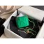 Chanel Pearl on Chain Small Classic Box with Chain Bag AP1447 Green 2020