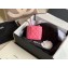Chanel Grained Calfskin Mini Vanity with Classic Chain Bag AP1340 Pink 2020
