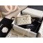 Chanel Grained Calfskin Small Vanity with Classic Chain Bag AP1341 White 2020