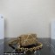 Prada Satin mini-bag with crystals 1BD329 Gold 2023