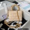 Chanel Small Vanity Case Bag AS3973 Tweed Beige 2023