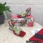 Dolce & Gabbana DG Heel 10.5cm Green Printed PVC Sandals Red 2023