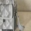Dior Gray CD Diamond Canvas Hit The Road Vertical Pouch Bag 2022